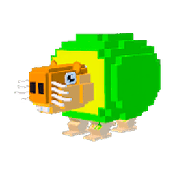 Pipi Avocado